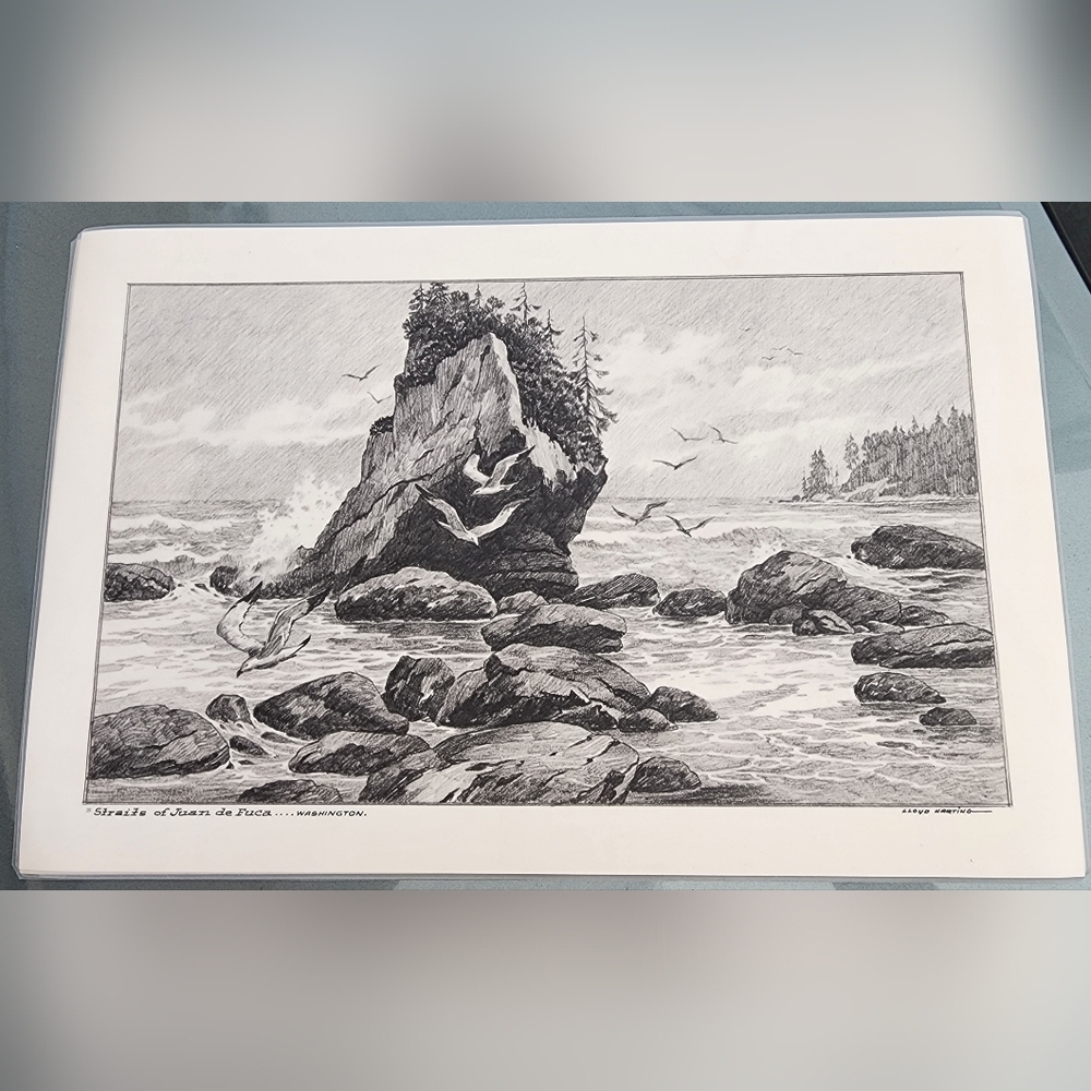Black and White Coastal Rock Drawing Illustration